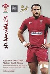 29/11/2014 : Wales v South Africa 