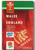 06/02/1993 : Wales v England