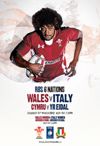 12/02/2012 : Wales v Italy