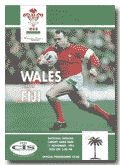 11/11/1995: Wales v Fiji