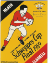 06/05/1989 : Neath v Llanelli