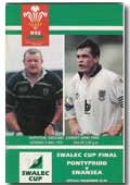 06/05/1995 : Pontypridd v Swansea