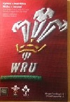 08/08/2015 : Wales v Ireland