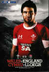 14/03/2009 : Wales v Ireland