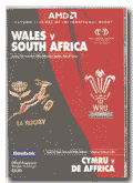 26/11/2000 : Wales v South Africa